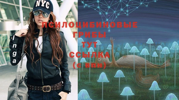 герыч Алзамай